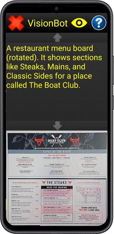 VisionBot looking at a menu